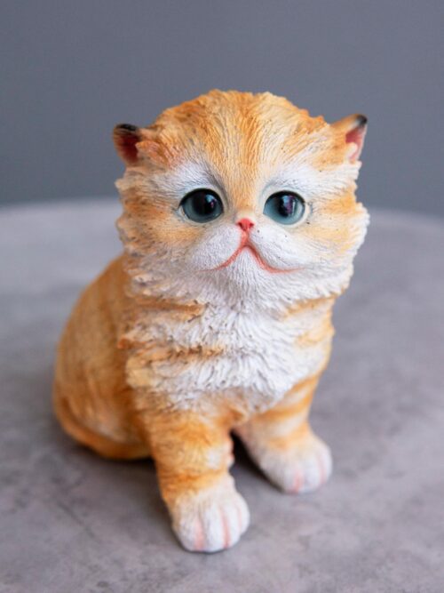 Котенок