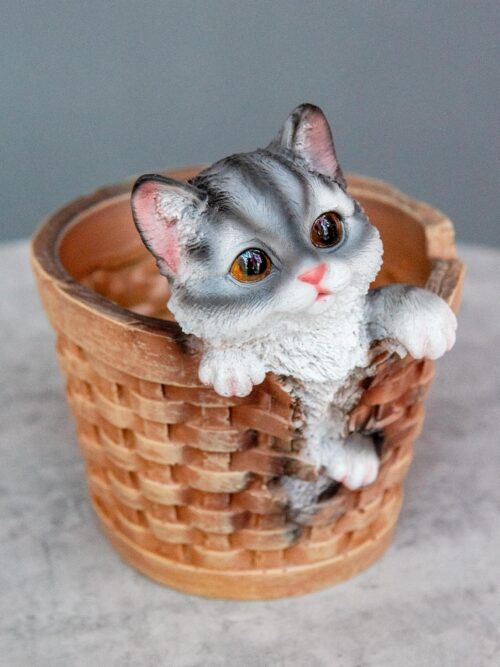 Котик в корзине