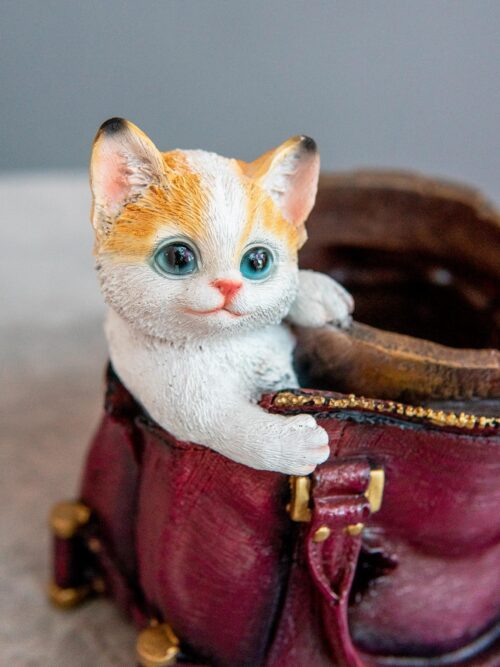 Котенок в сумке