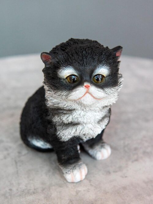 Котенок