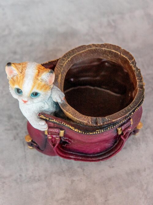 Котенок в сумке