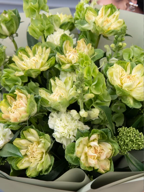 Авторский букет «Матча-Латте» с розой Veggie Rose