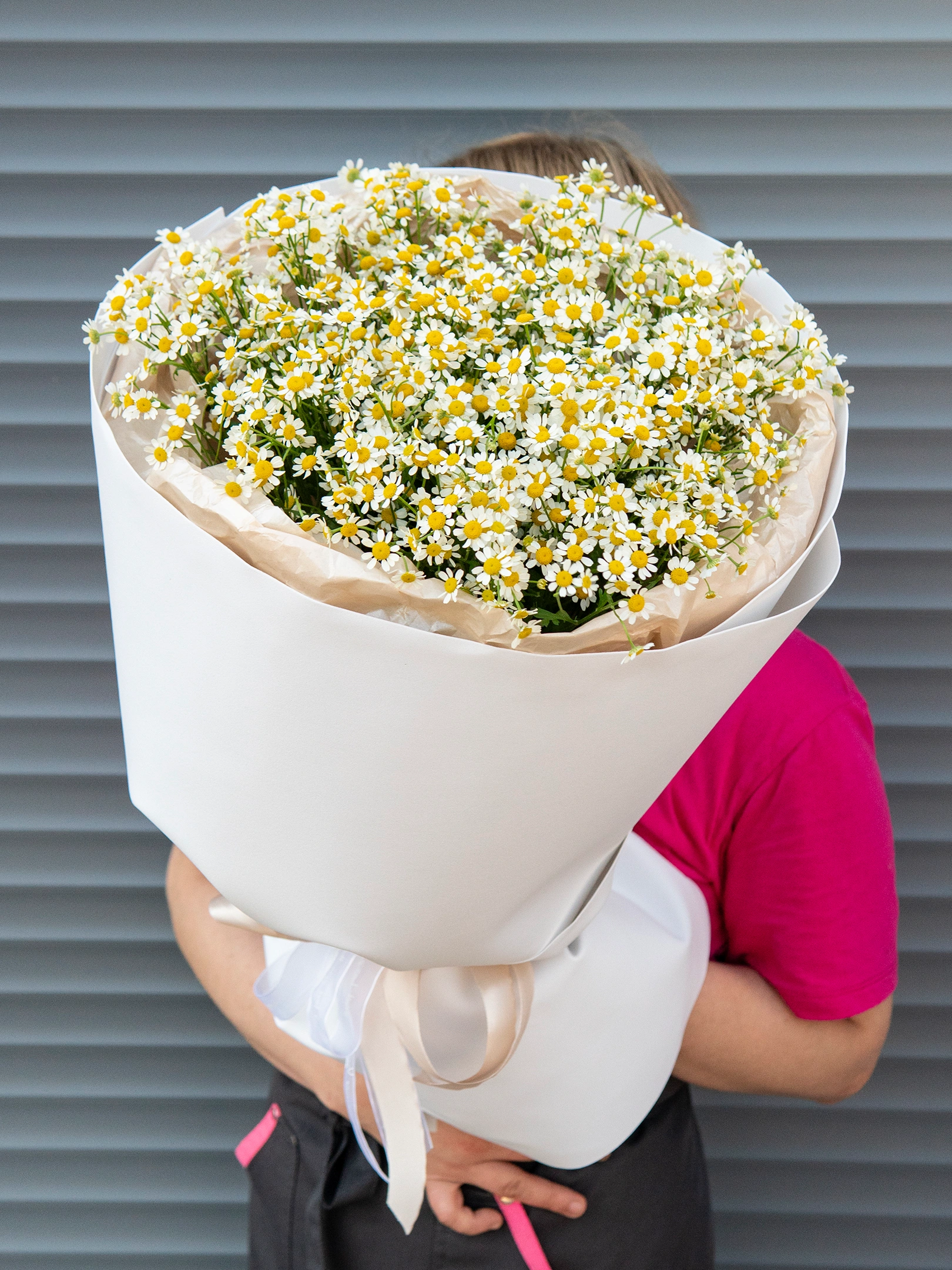 Монобукет из ромашки (танацетум)